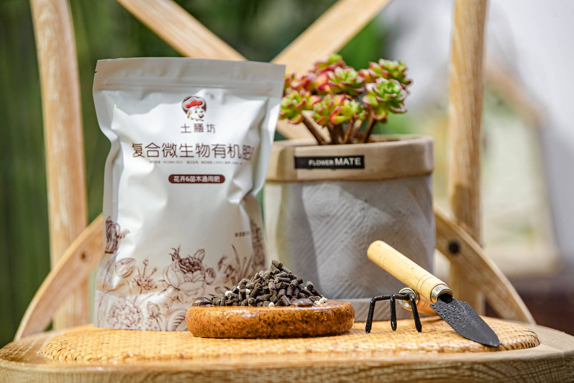 衛(wèi)生間可以養(yǎng)什么綠植_衛(wèi)生養(yǎng)間綠植可以放陽臺嗎_衛(wèi)生間養(yǎng)綠植影響風(fēng)水