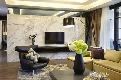 <strong>風(fēng)水 | 家里客廳不能擺的綠色植物，你中招了嗎？</strong>