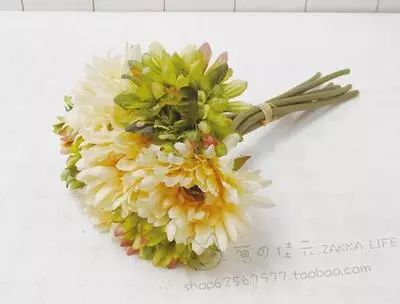 生日送花好嗎_生日送花好還是蛋糕_生日送花好么