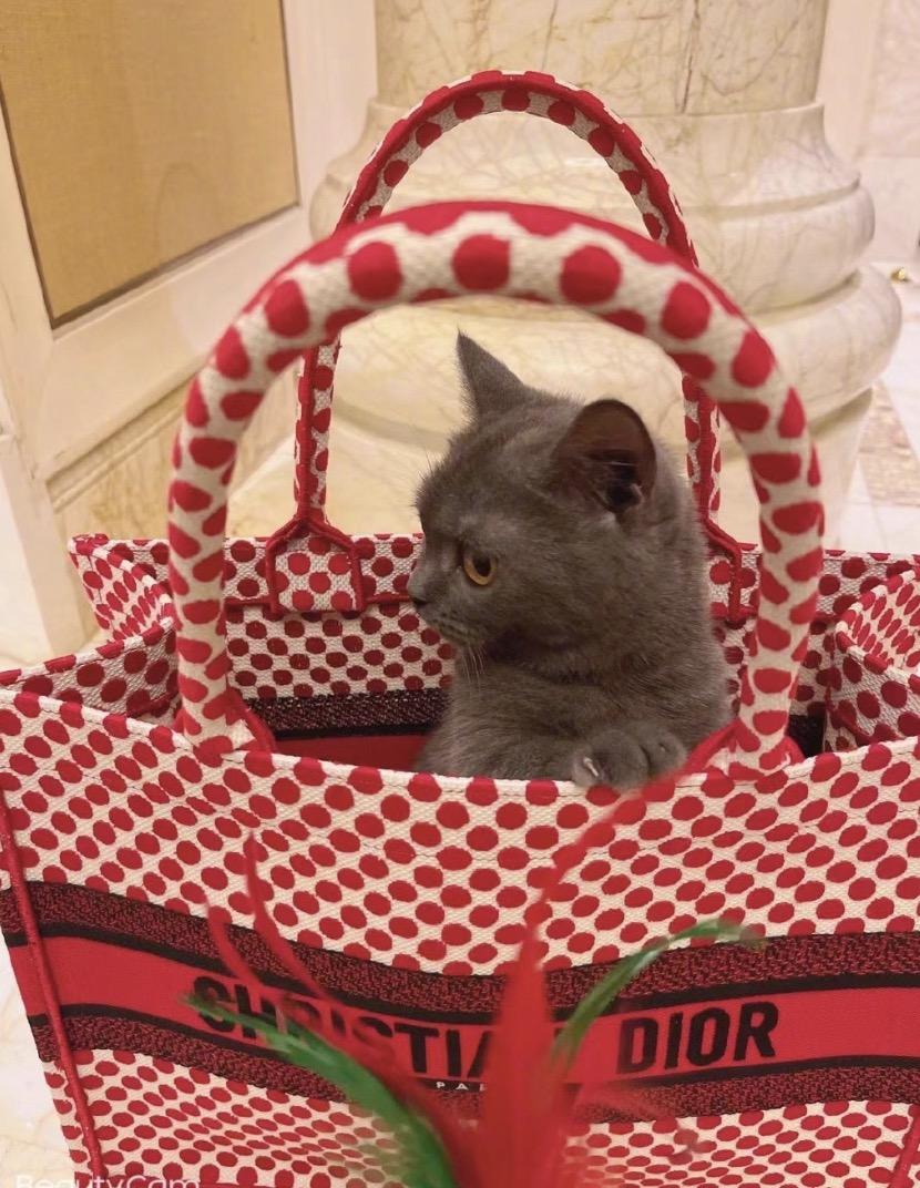 送紀念玫瑰老婆結婚花束怎么寫_結婚紀念日送玫瑰花_結婚紀念日送老婆多少朵玫瑰花