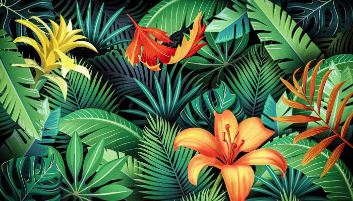 喬遷之喜送綠植一般送幾盆_喬遷送綠植賀詞_喬遷新居送綠植要送一對嗎