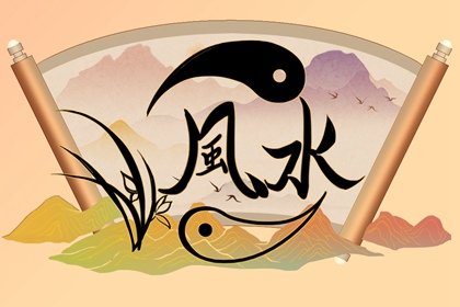 適合室內(nèi)養(yǎng)的木本盆栽_室內(nèi)養(yǎng)植物適合木本還是草本_適合室內(nèi)養(yǎng)的木本植物