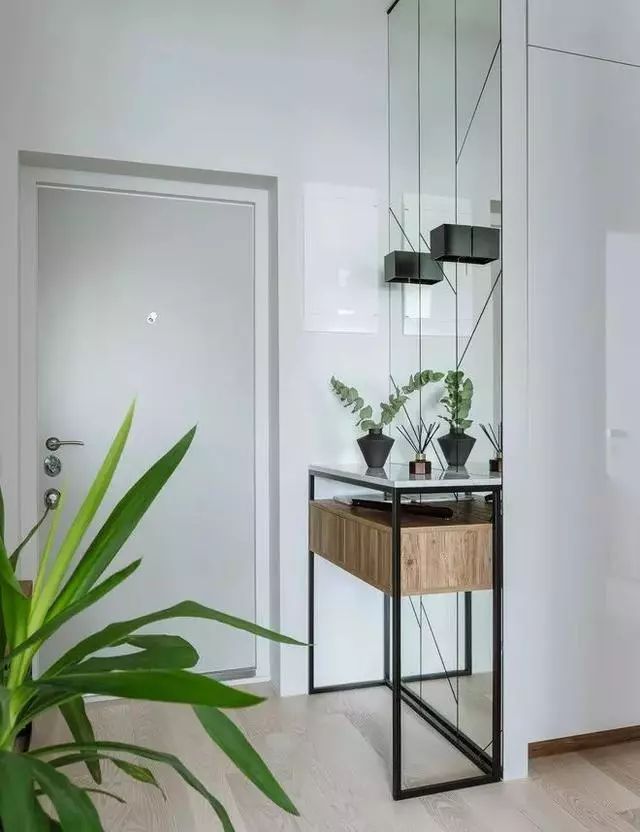 玄關(guān)鞋柜上放什么綠植好_玄關(guān)鞋柜擺什么花_玄關(guān)鞋柜放什么植物好