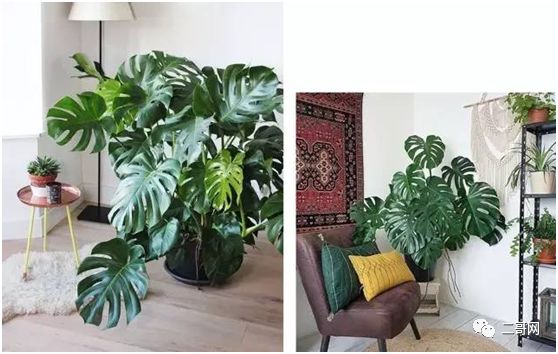 送花給同學_送同學的花_送花給同學的祝福語