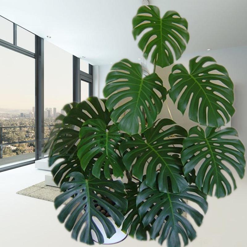 客廳適合擺放綠植_客廳綠植適合放家里嗎_家里客廳適合放什么綠植