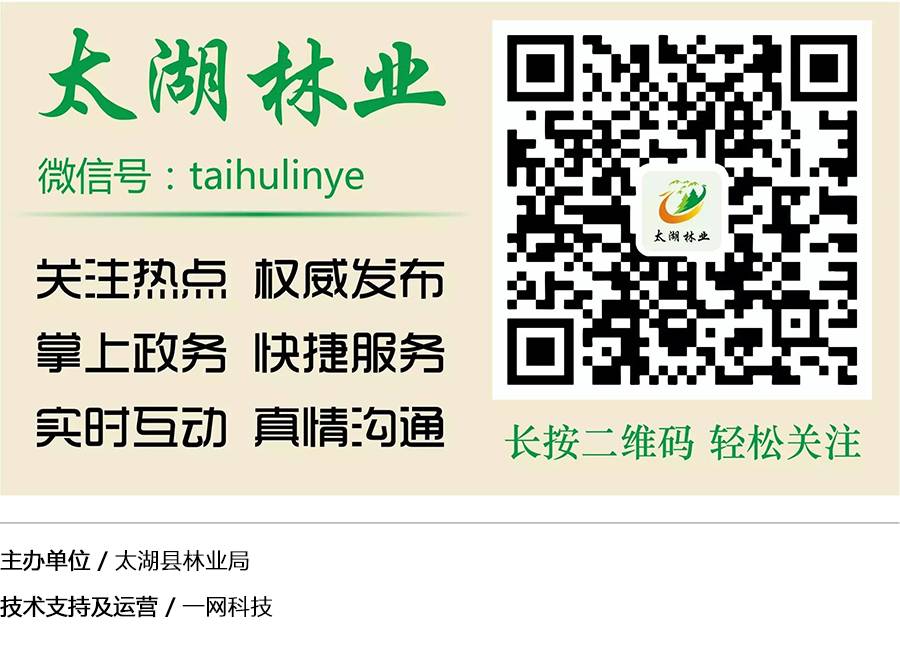 冬天可養(yǎng)的綠植_冬養(yǎng)綠植天可以淋雨嗎_冬養(yǎng)綠植天可以澆水嗎