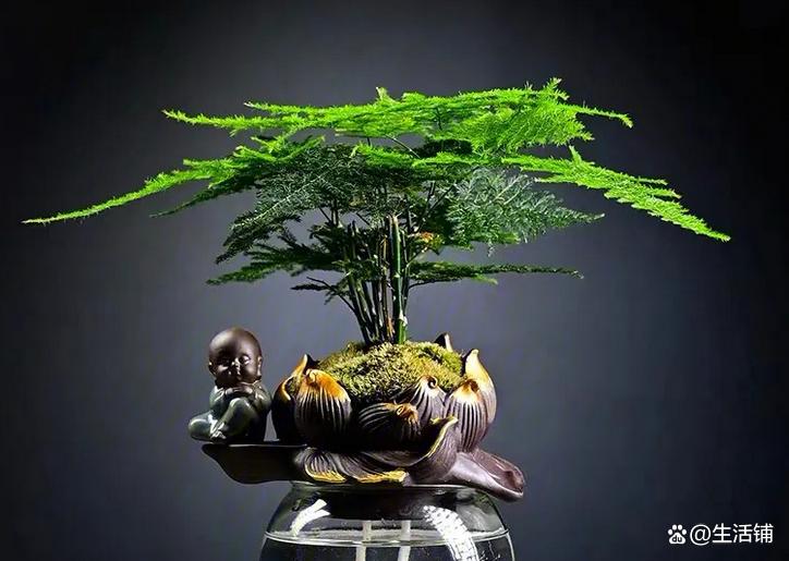 哪種花耐陰_花卉耐陰植物_比較耐陰的花卉有哪些