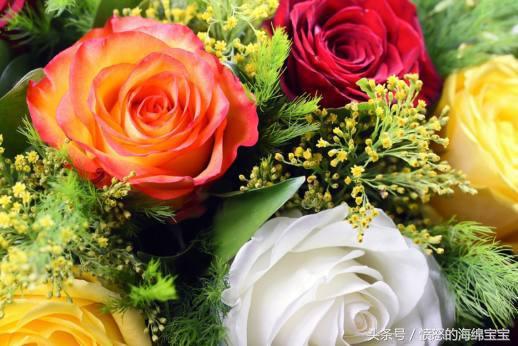 玫瑰花延長保鮮期的方法，讓心愛的人送你的玫瑰花保存更長久！