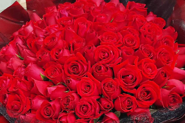 女朋友送玫瑰花怎么發(fā)朋友圈_送玫瑰花朋友女生怎么說_送女朋友玫瑰花