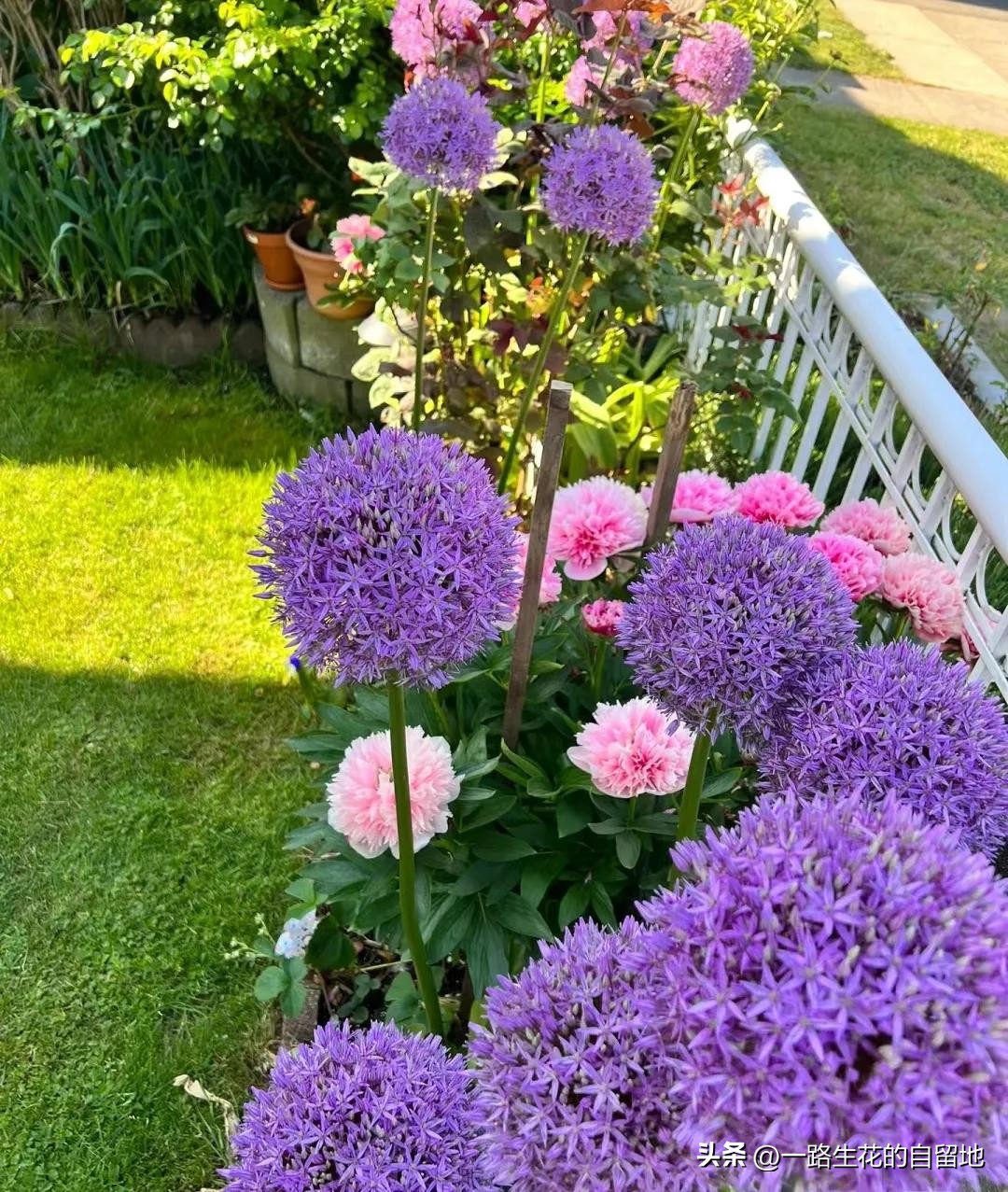 冬季養(yǎng)花施肥_冬季養(yǎng)花的注意事項(xiàng)_冬季養(yǎng)花