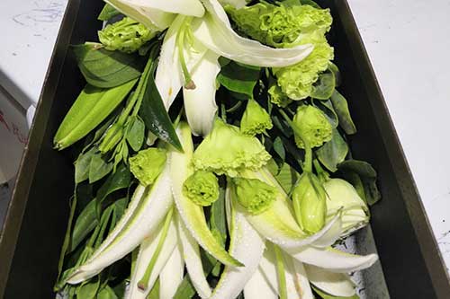 送花媽媽祝福語(yǔ)_送花給媽媽_送花媽媽祝福語(yǔ)簡(jiǎn)短