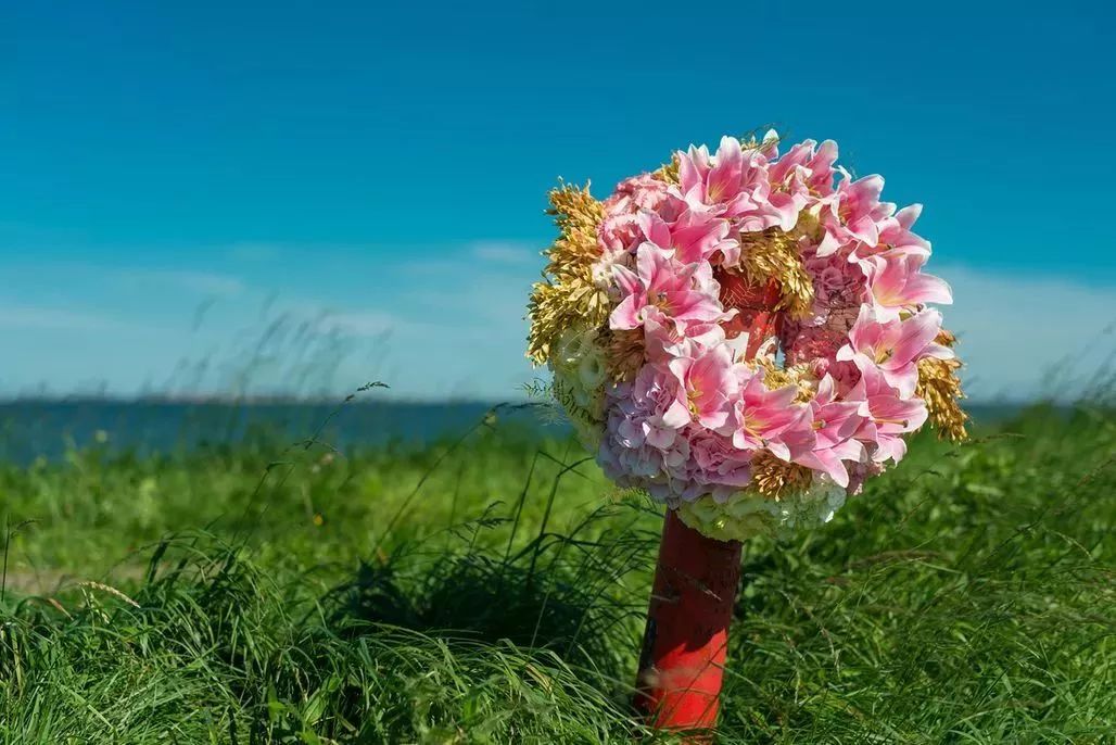 親人逝去送給花怎么說_親人逝去送給花的祝福語_送給逝去親人的花