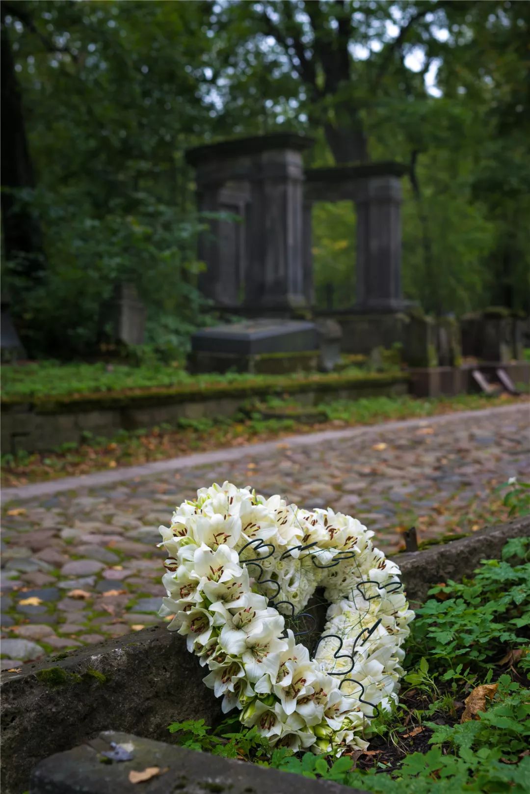 送給逝去親人的花_親人逝去送給花怎么說_親人逝去送給花的祝福語