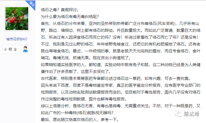 花葉絡(luò)石生長(zhǎng)期_花葉絡(luò)石花期_花葉絡(luò)石怎么樣養(yǎng)護(hù)